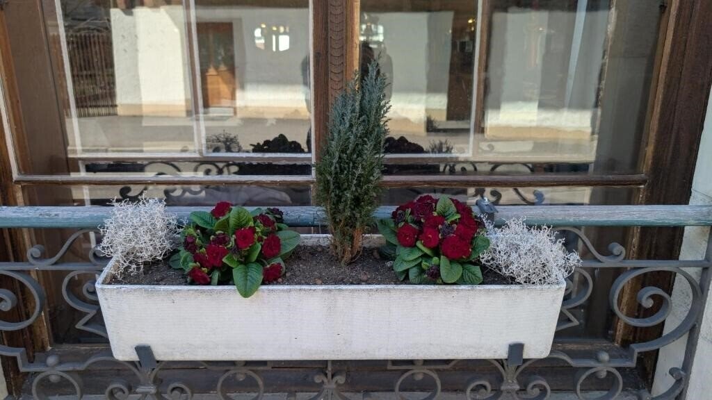 Zdjęcie Harder-Minerva 3*