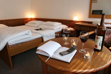 Hotel Balnea Grand 3*