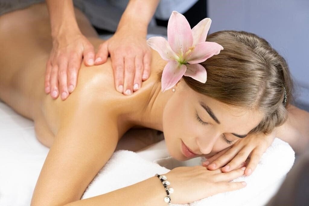 Obraz Wellness Hotel Borovica 4*