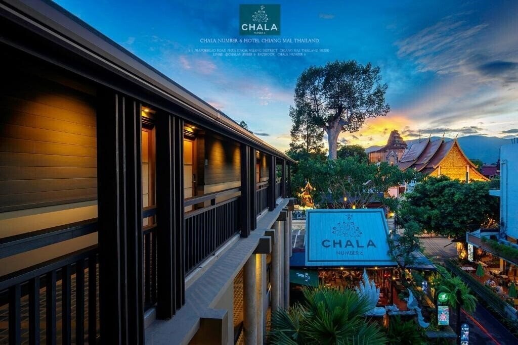 Zdjęcie Chala Number 6 4*