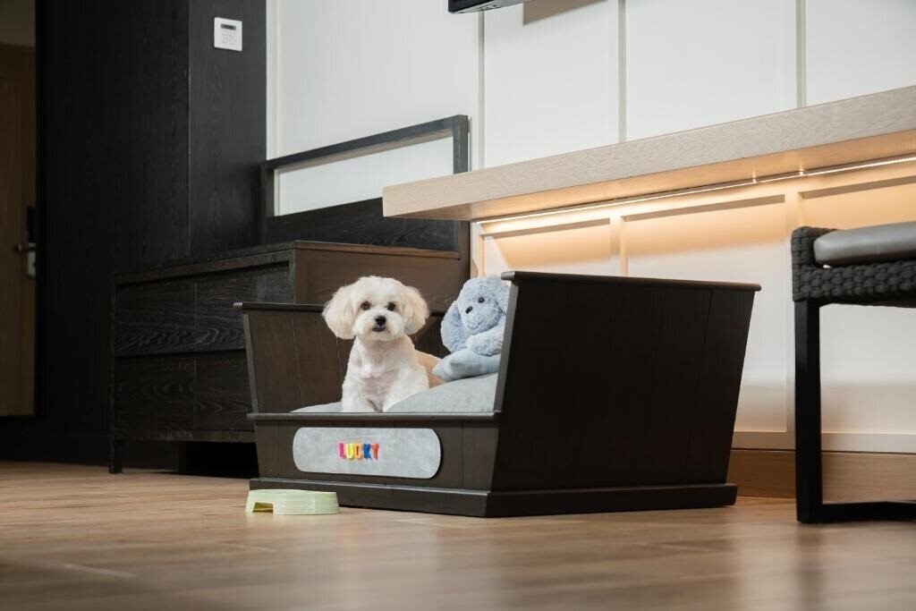 Zdjęcie Hyatt Regency Hua Hin 5*