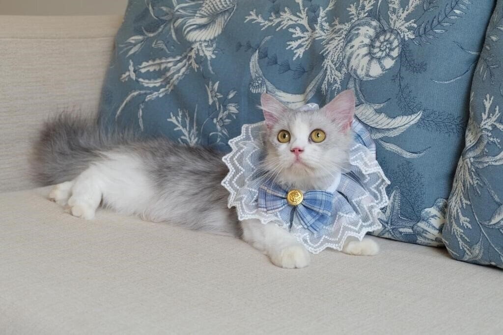 Zdjęcia Blu Marine Hua Hin Resort & Villas 3*