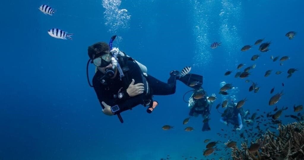 Фотографія The Tarna Align Resort 4*