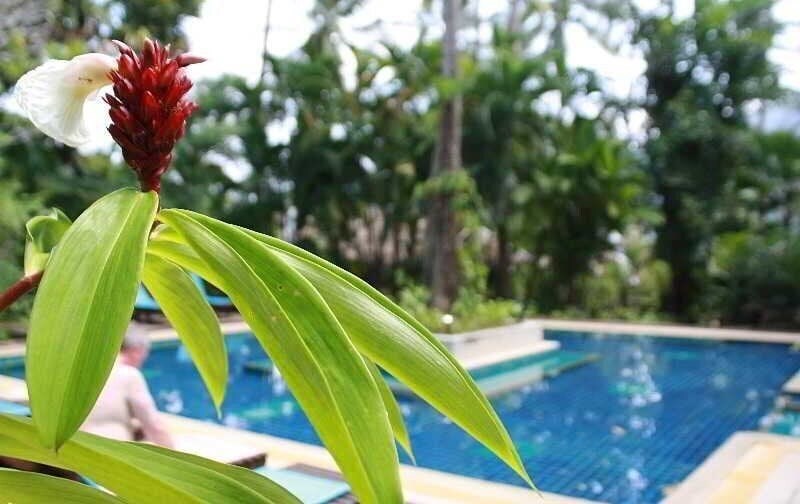 Hotel Ao Nang Premier Resort (ex. Tropical Herbal Spa & Resort) 3*