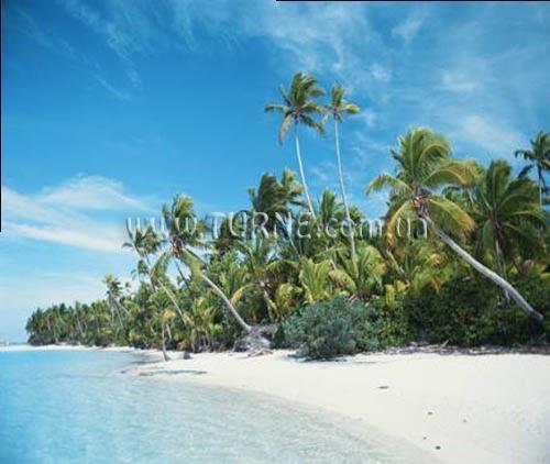 Фото Centra Ashlee 3*