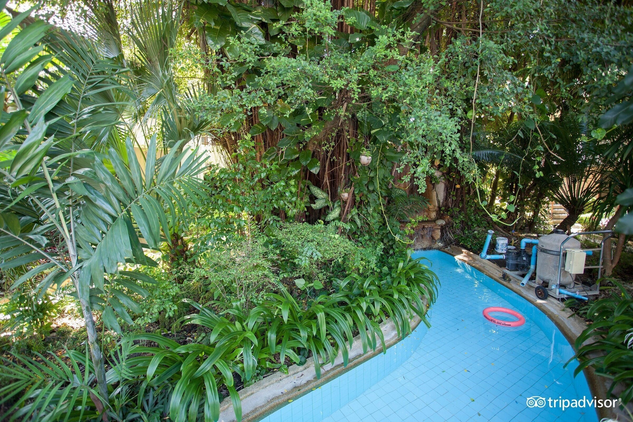 Фотографія Swiss Palm Beach 3*