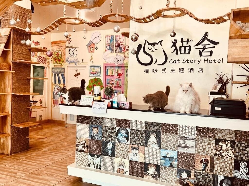 Hotel Cat Story Hotel 3*