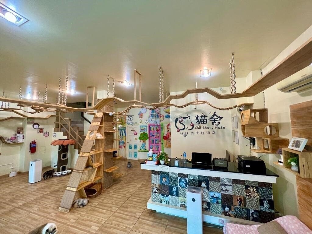 Zdjęcie Cat Story Hotel 3*