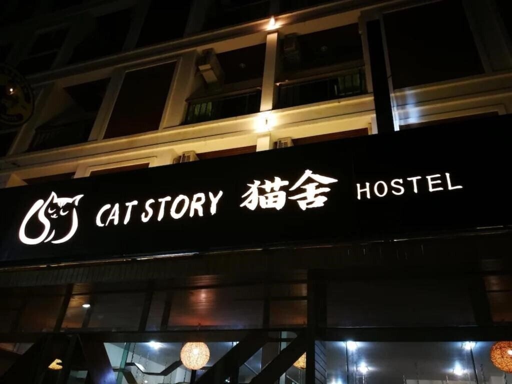 Obraz Cat Story Hotel 3*