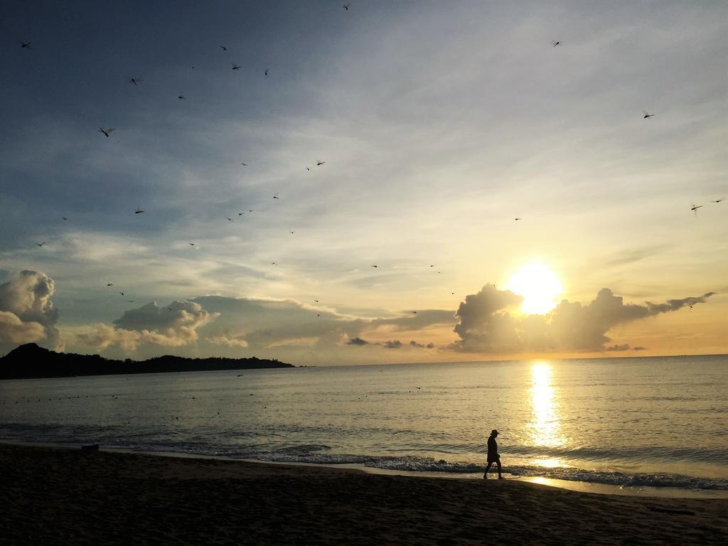 Obraz Lamai Coconut Beach Resort 3*