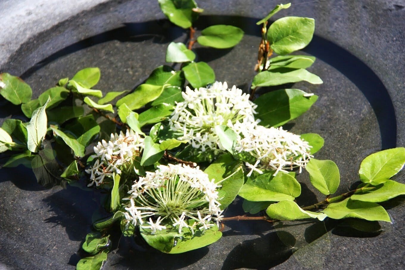 Zdjęcie Muang Kulay Pan 3*