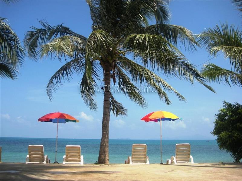 Obraz Natural Wing Health SPA & Resort 3*