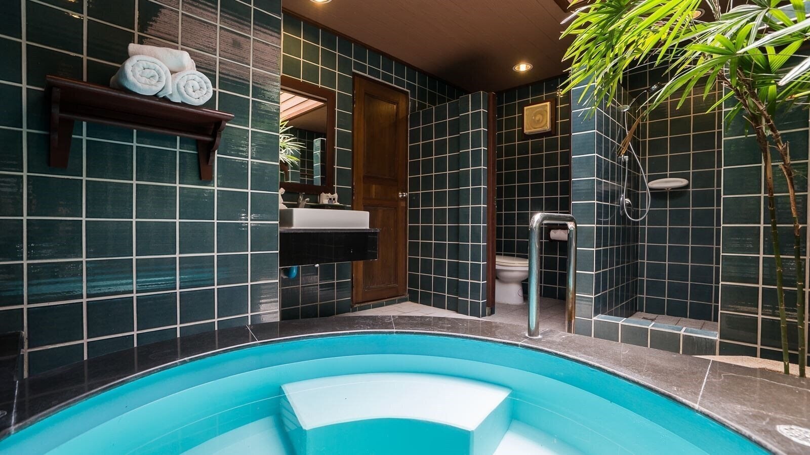 Зображення Plumeria Resort 4*