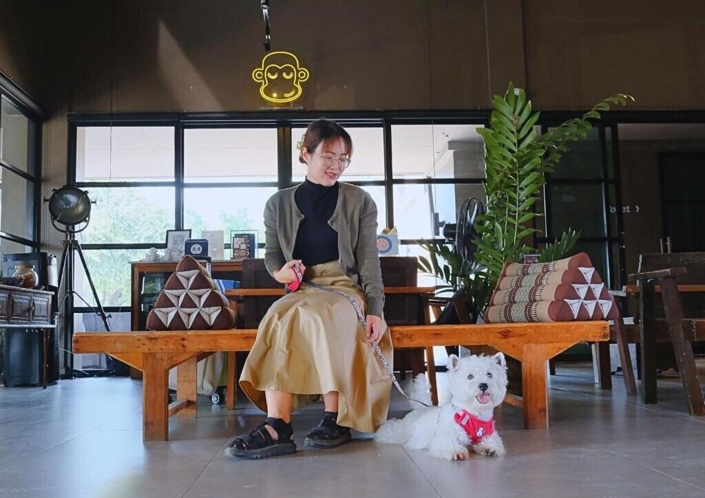 Zdjęcia Brown House Hotel 3*