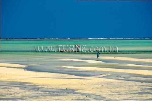 Obraz Bahari View Lodge 2*