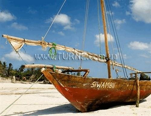 Obraz Zanzibar Dolphin View Paradise Resort & Spa 4*