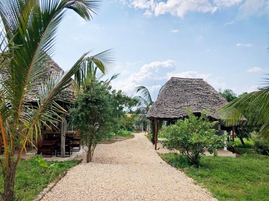 Obraz Maama Nungwi Lodge 3*