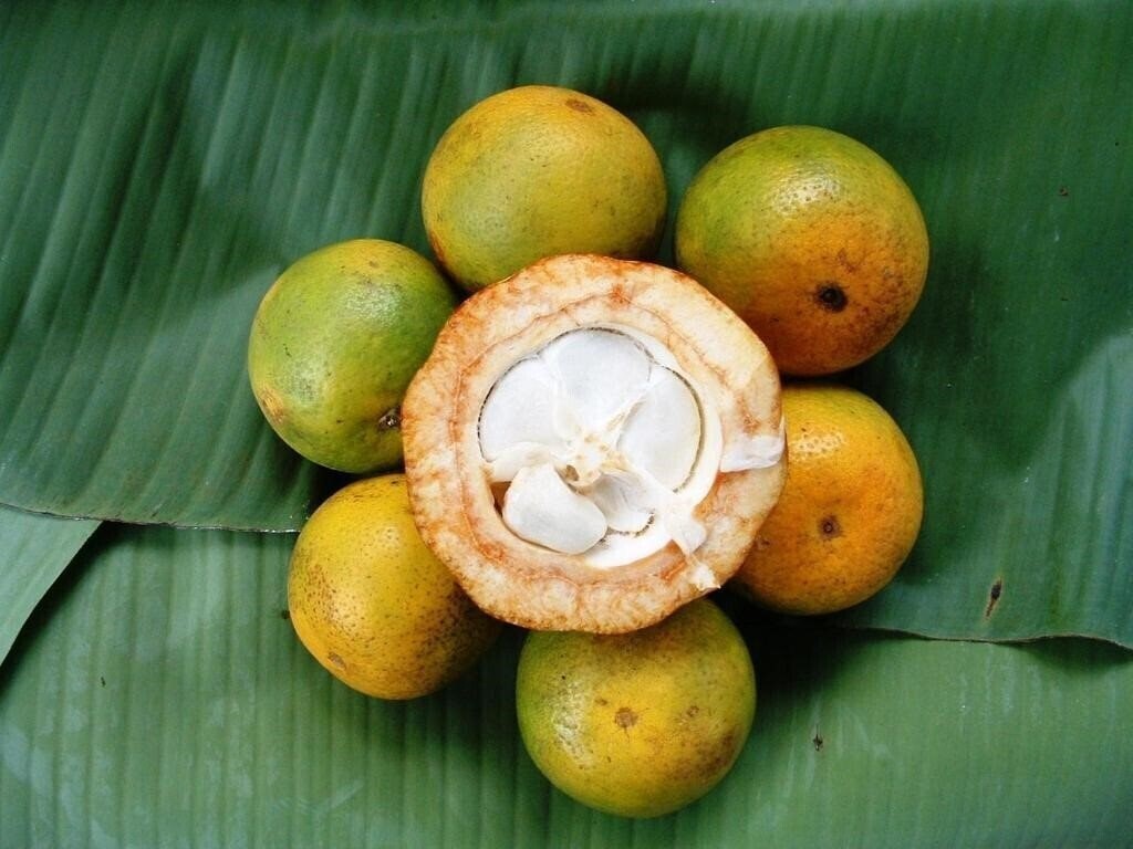 Zdjęcia Princess Salme Inn 3*