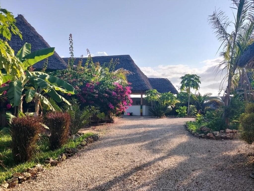 Картинка Kendwa Rasta Style 3*