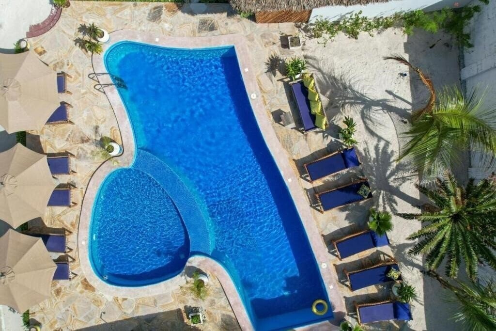 Изображение Amber Lodge 3*