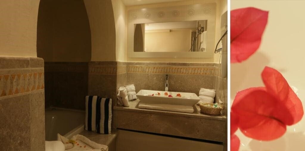 Фотографія Le Hammamet Hotel & SPA 4*