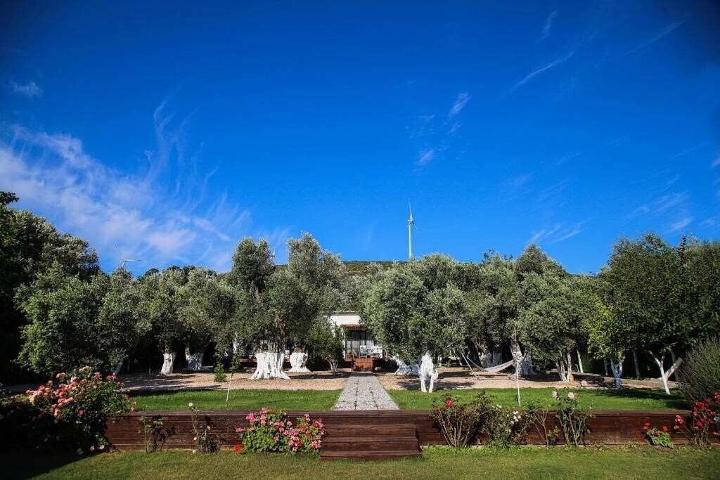 Зображення Suess Alacati 5*