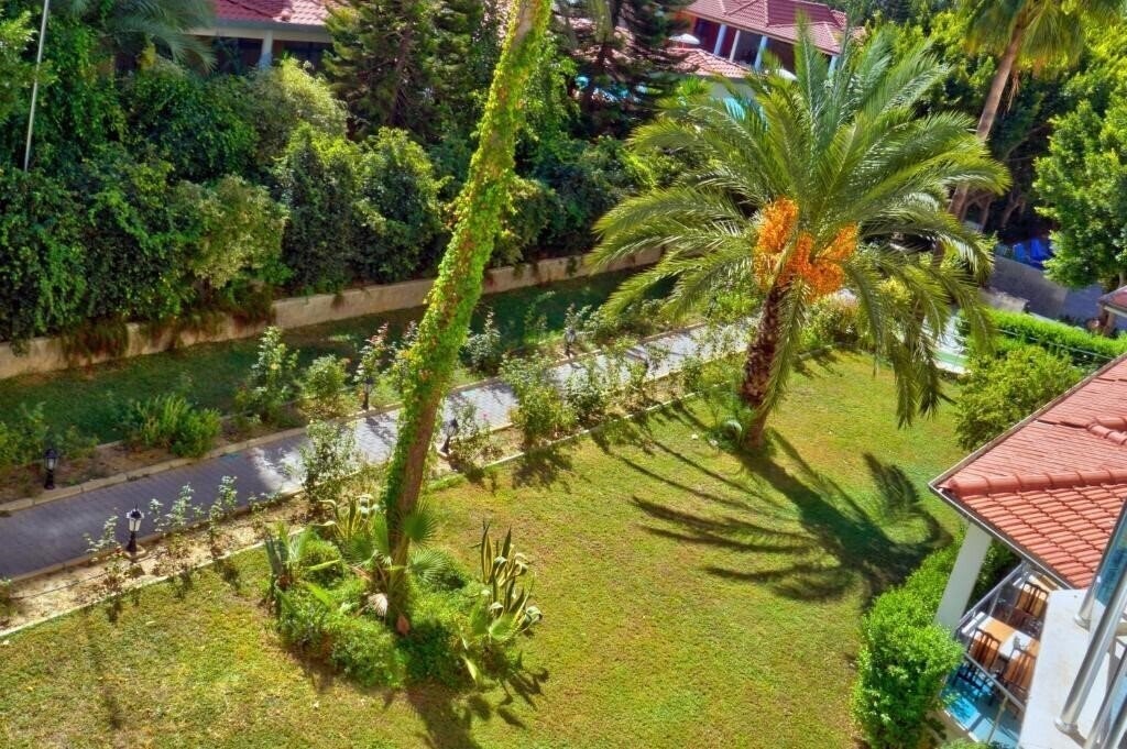 Изображение Blue Fish Hotel 4*