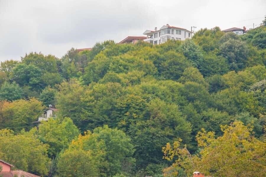 Фото Room Room Boutique Hotel Sapanca 3*