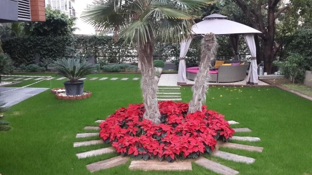 Obraz Bmk Suites & Apartments 3*