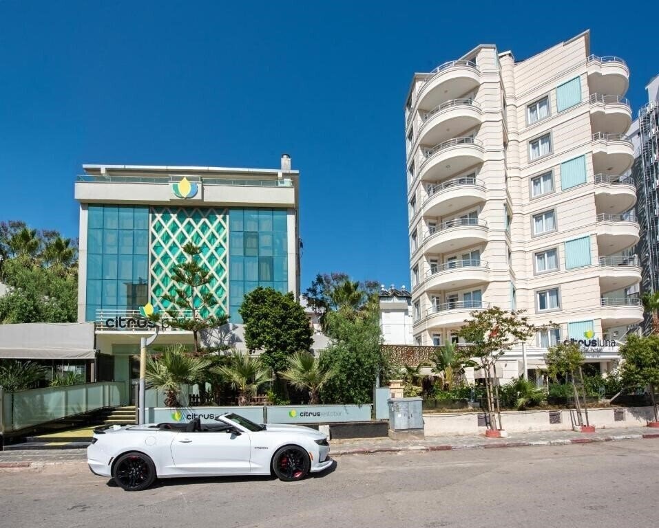Zdjęcie Citrus Park Hotel 4*
