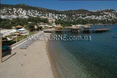 Фотографія Terassu Hotel special cat 3*