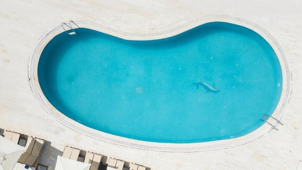 Фото Salinas Beach Hotel 3*