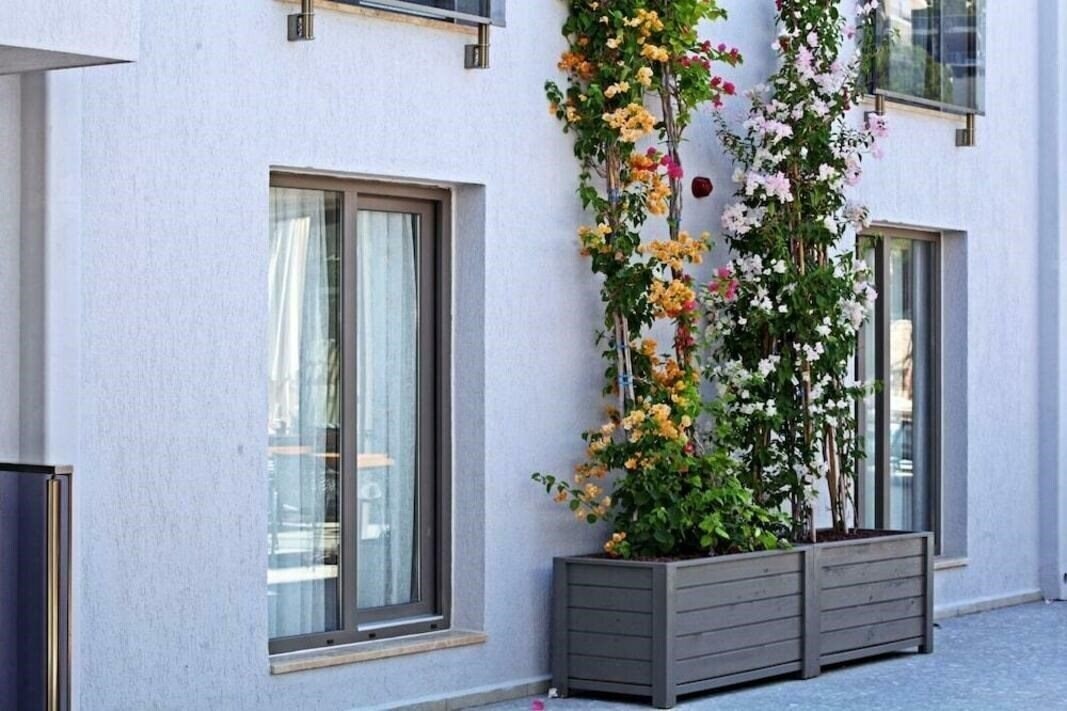 Зображення Time To Smile Mavi Hotel & Residence 4*