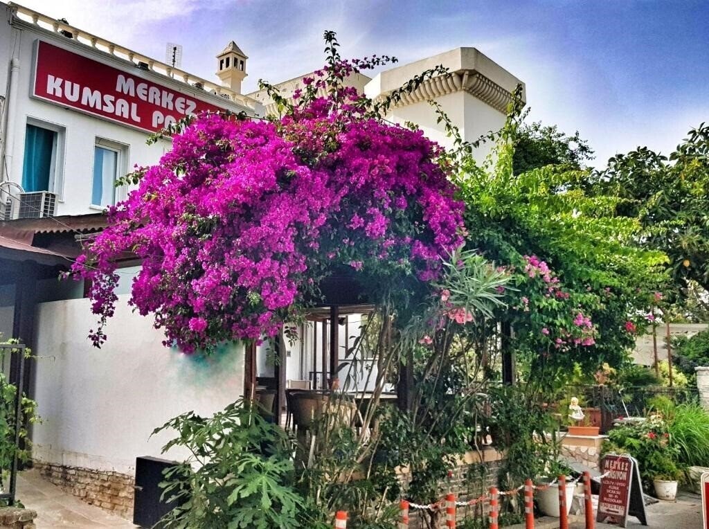 Фото Merkez Kumsal Pansiyon (ex. Bodrum Kumsal Pansiyon) 2*