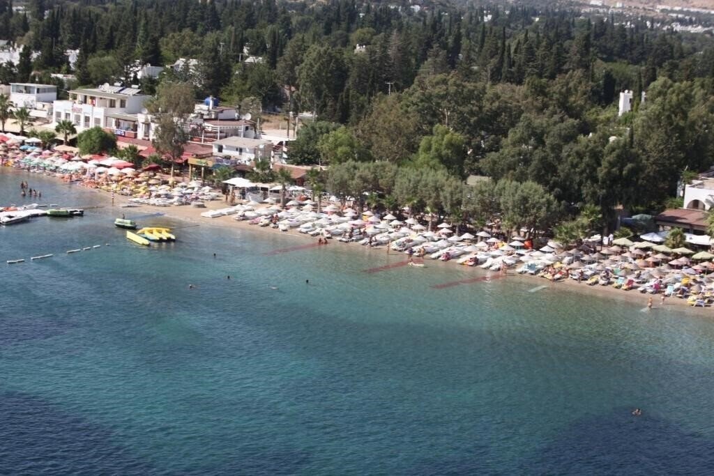 Zdjęcie Okaliptus 4*