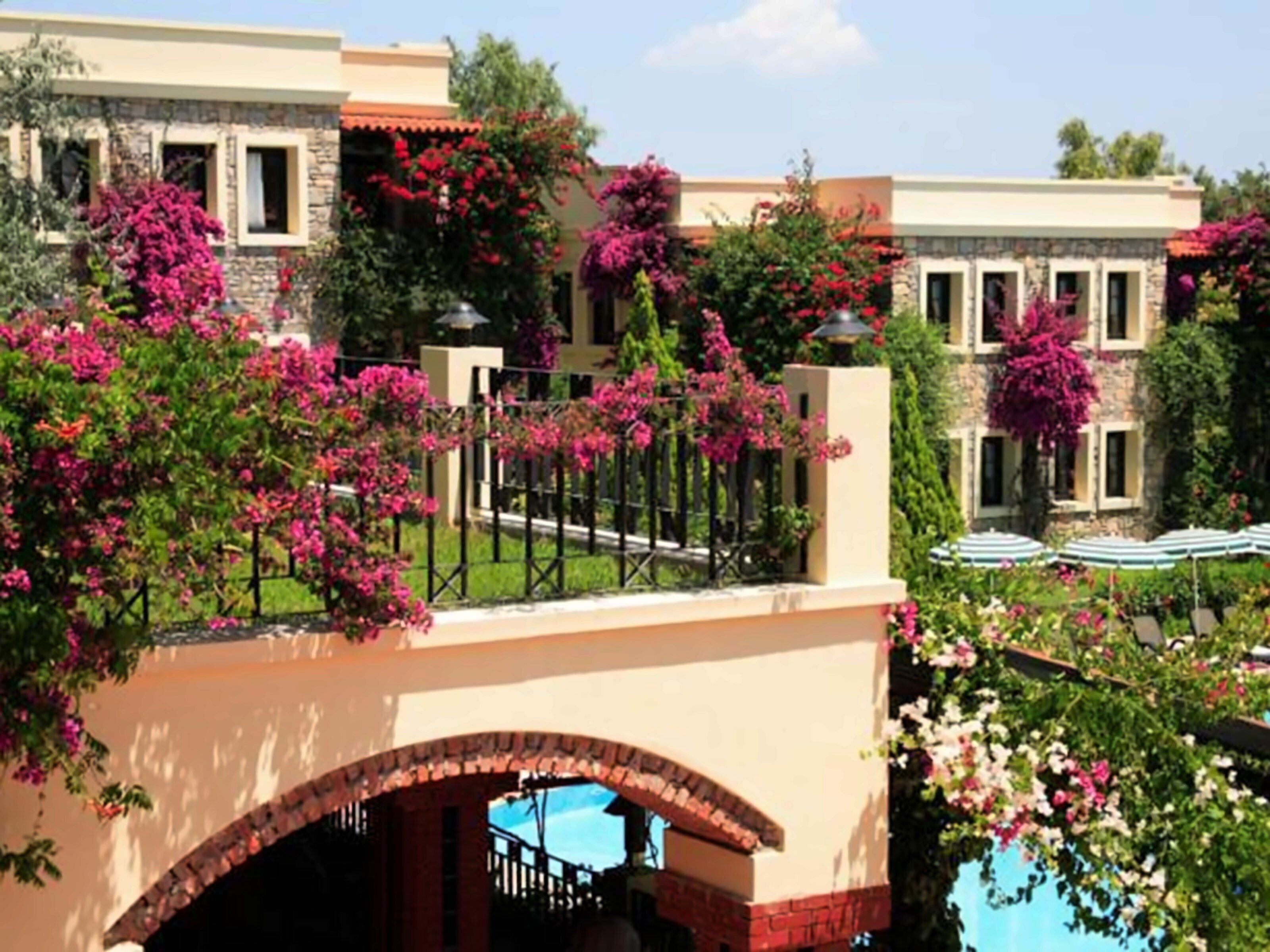 Zdjęcie Zeytinada Hotel 4*