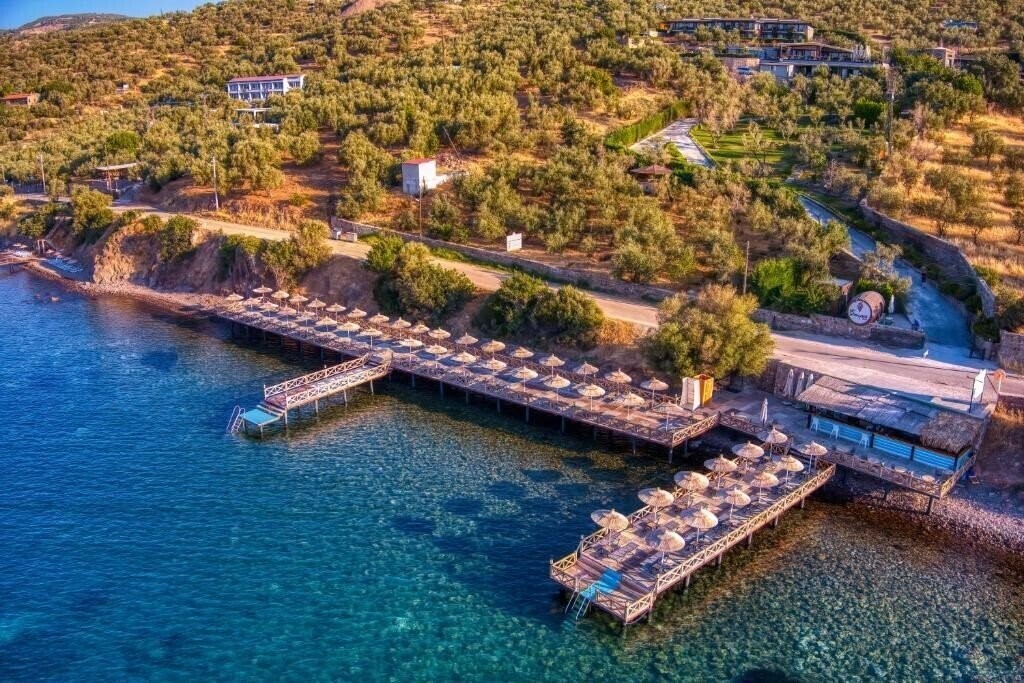 Отель Assos Dionysos Hotel 4*