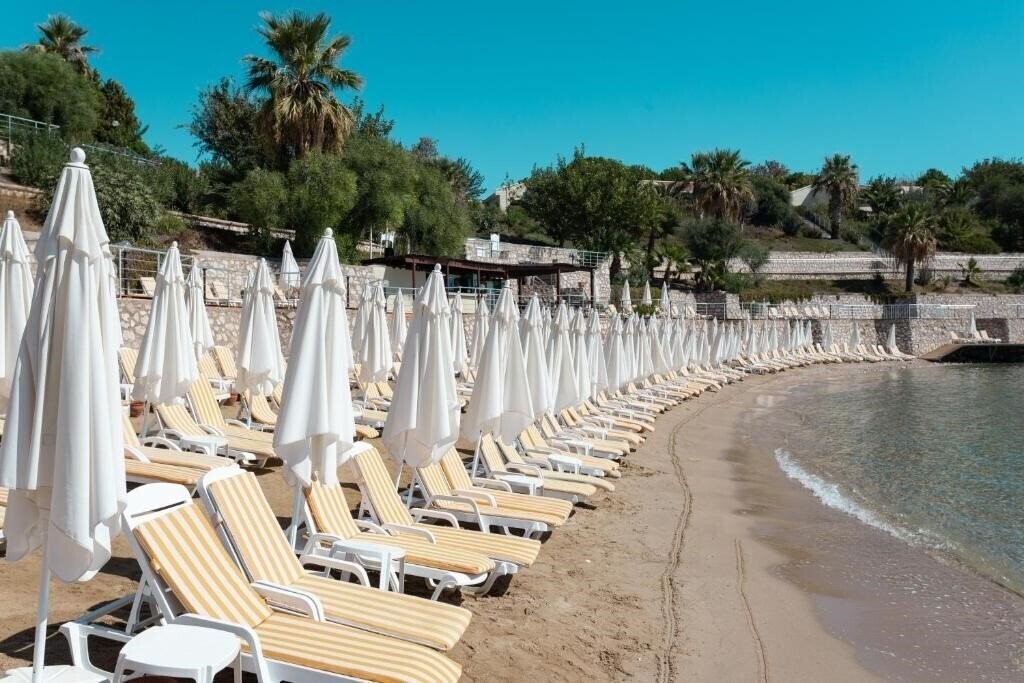 Зображення Anadolu Hotels Didim Club (ex. Palm Wings Beach Resort, Adrina Beach Resort) 5*