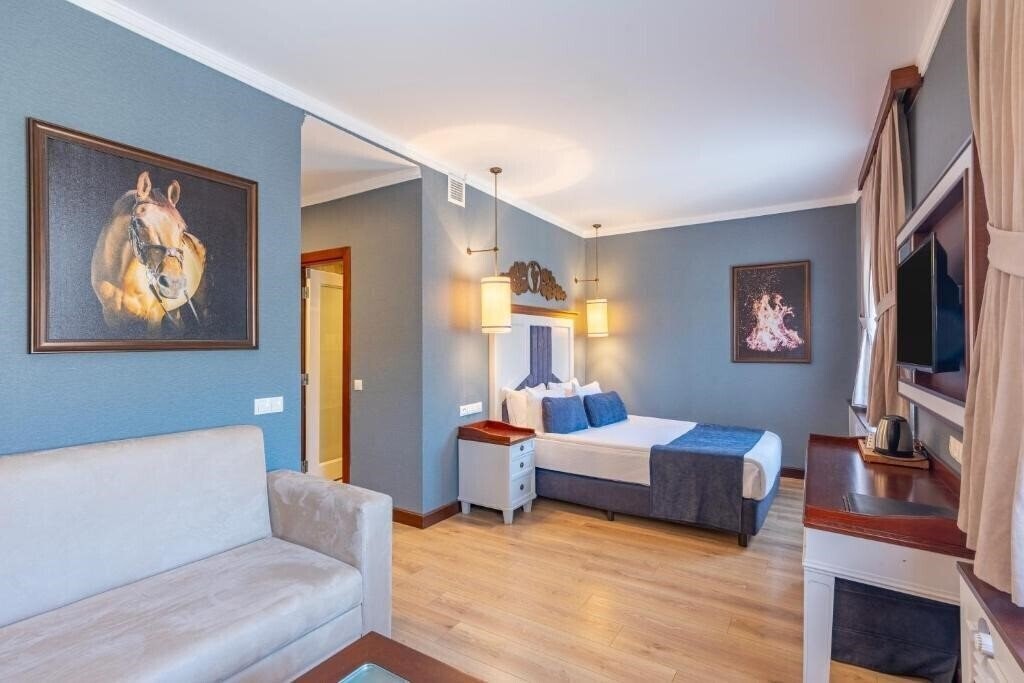 Obraz Mirada Del Lago Erciyes 4*