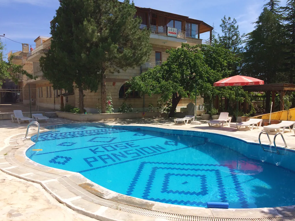 Отель Kose Pension (ex. Kose Hostel) 3*