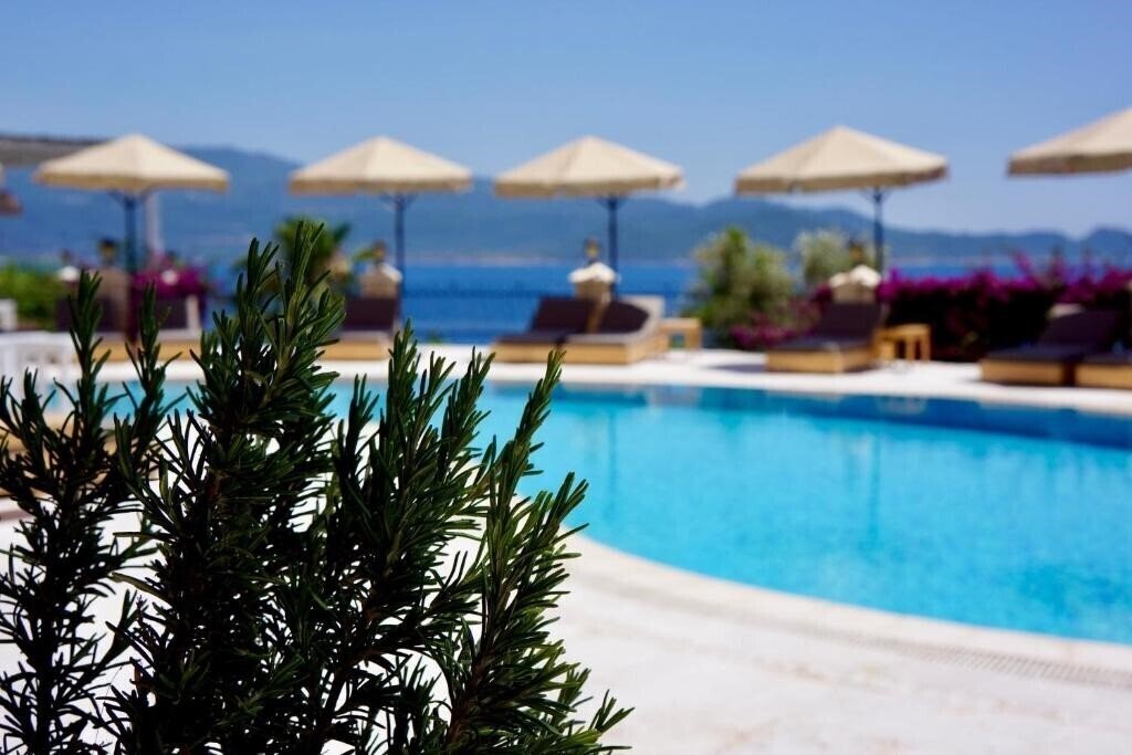 Obraz Villa Hotel Tamara 4*