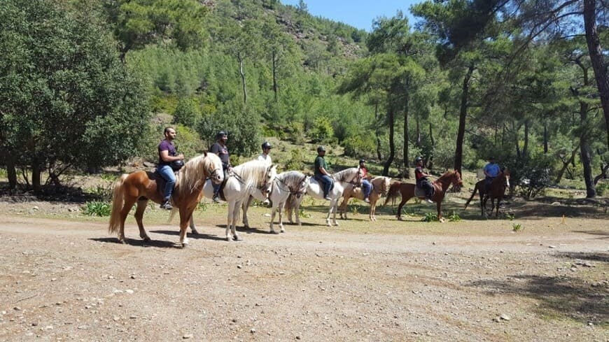 Obraz Oranj Ranch Hotel 3*