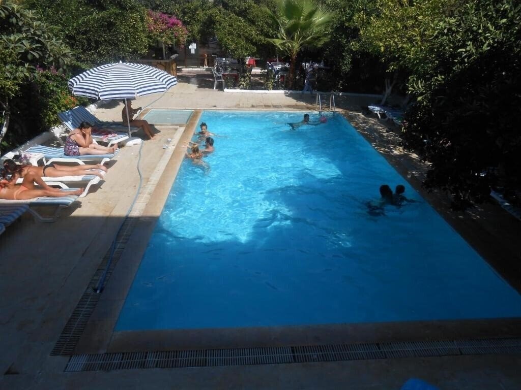 Изображение Ipsos 3*