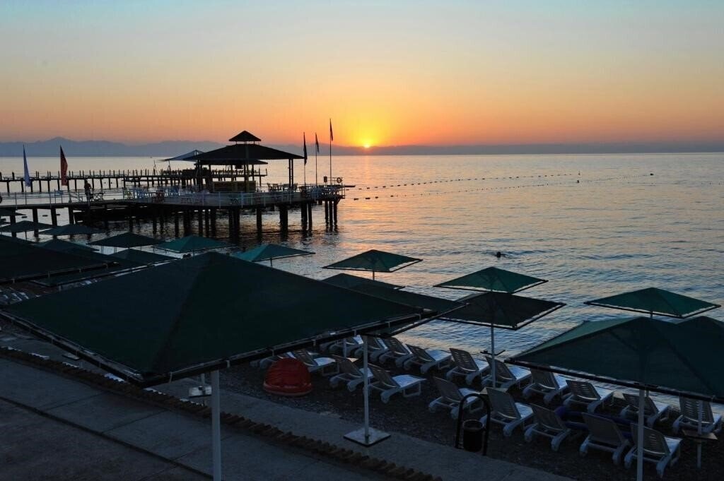 Фотография Seagull Hotel 4*