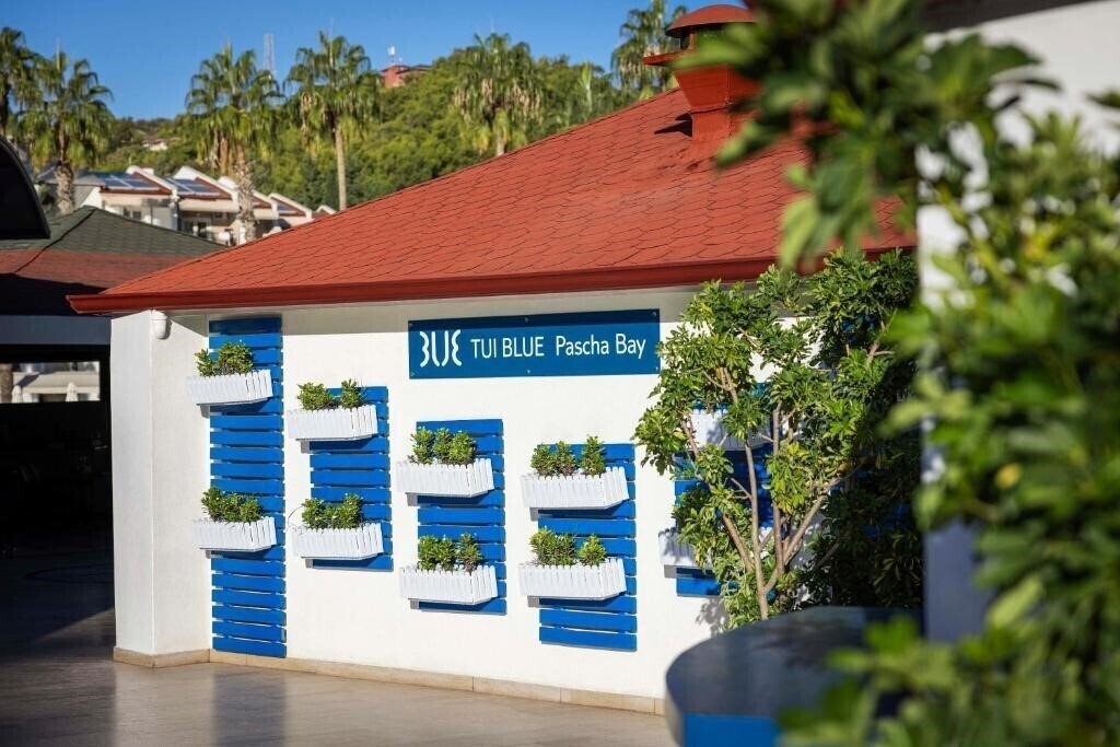 Obraz Tui Blue Pascha Bay 3*