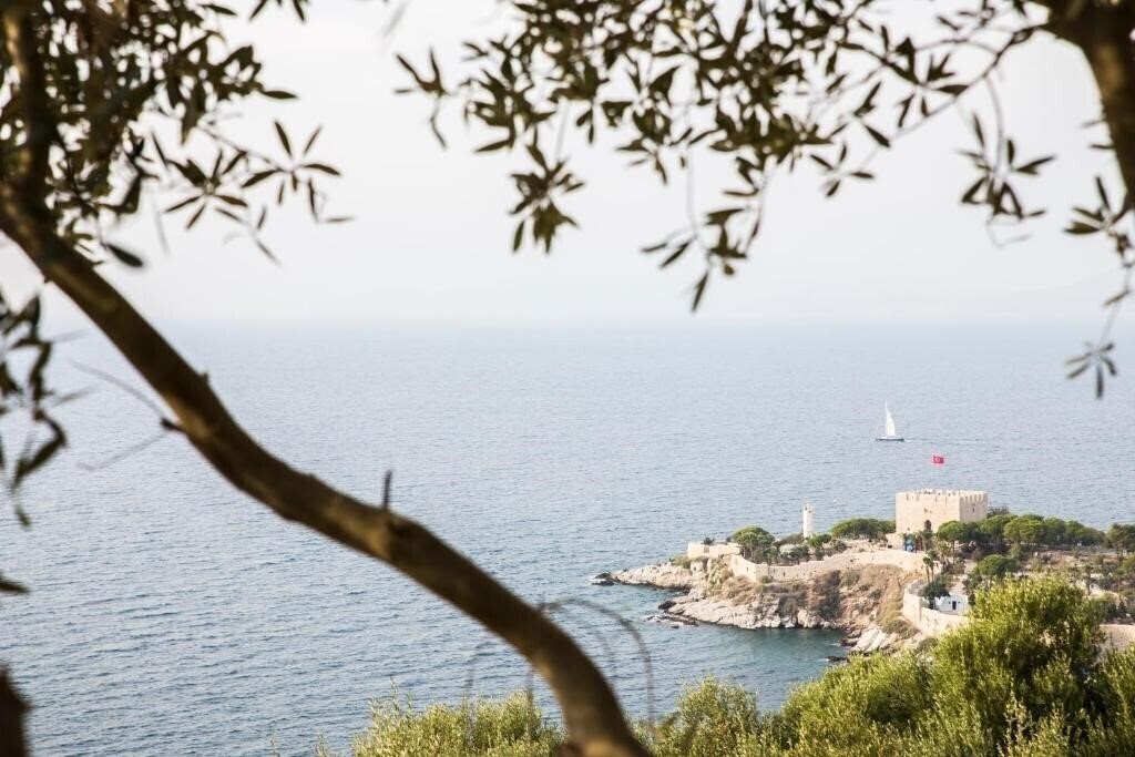 Фотографія Neopol Hotel Special Class 3*