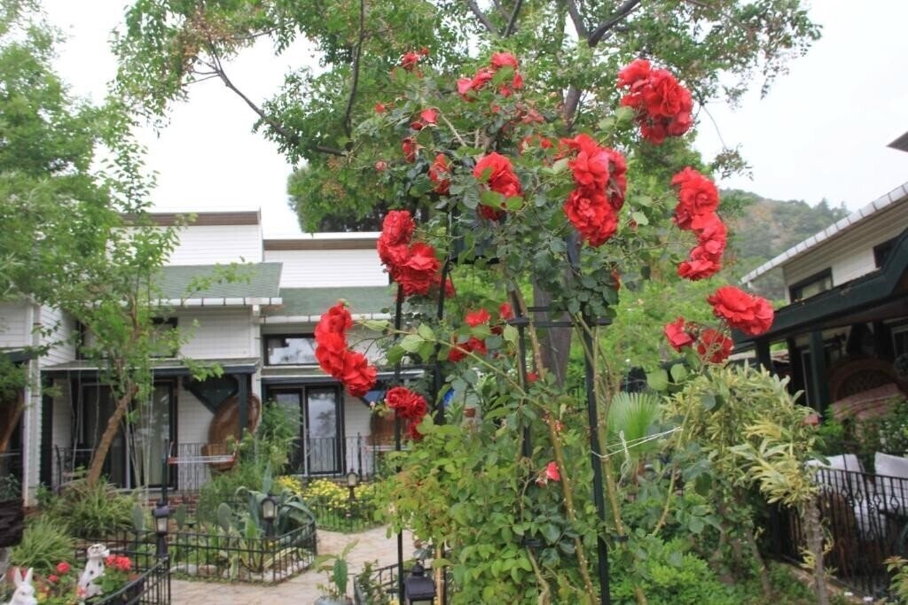 Фотографія Beachwood Villas 3*