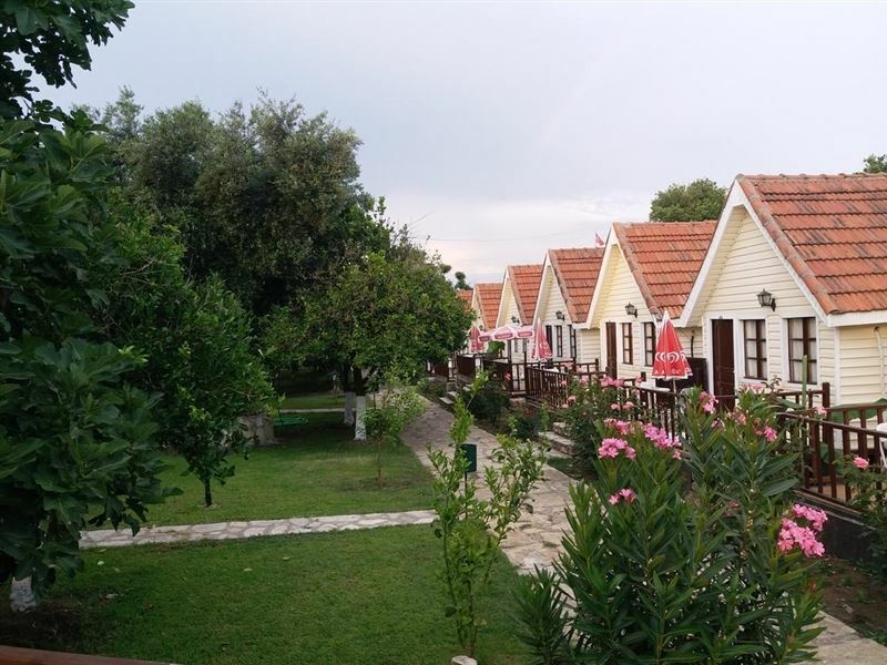 Готель Clover Magic Nova Beach Hotel 3*