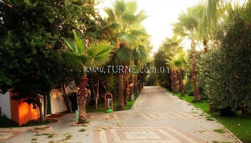 Фото Orfeus Armin Hotel 4*