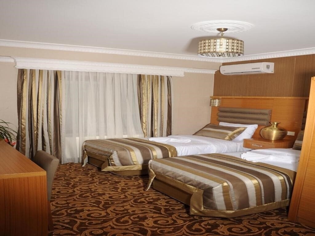 Zdjęcia Alfa Hotel 3*